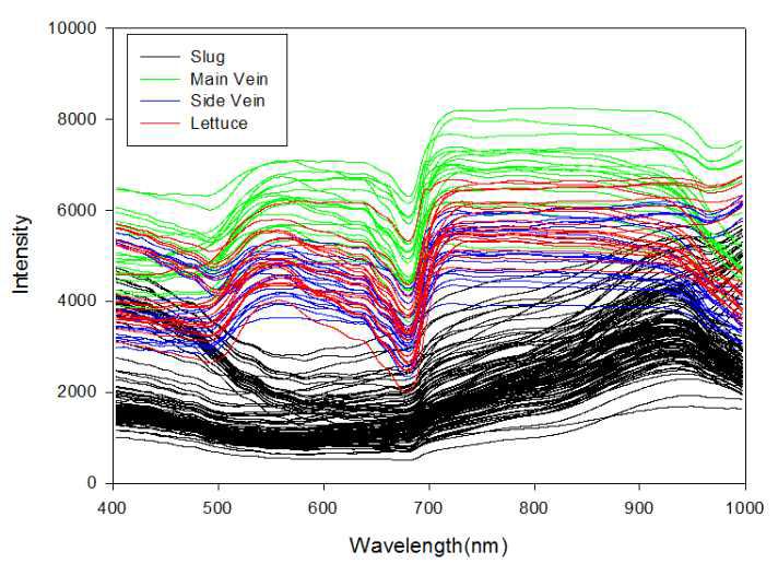 민달팽이 및 정상 양상추의 가시광/근적외선 스펙트럼