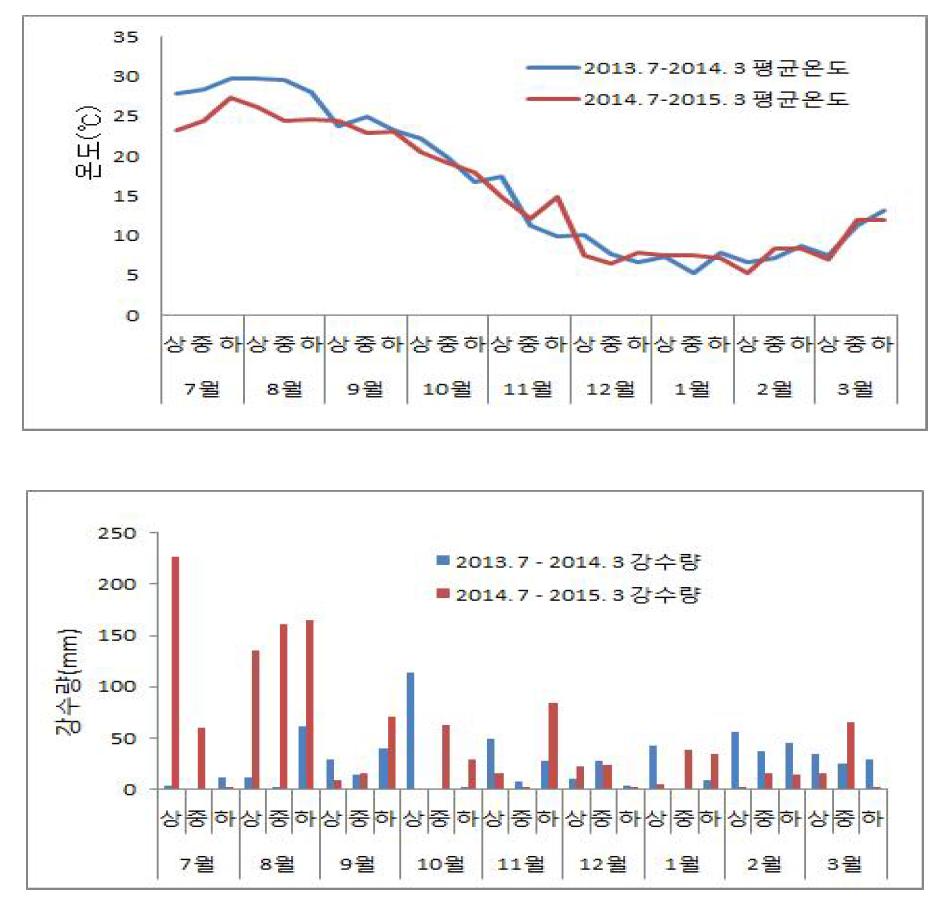 방울다다기양배추 시험기간동안의 기상개황