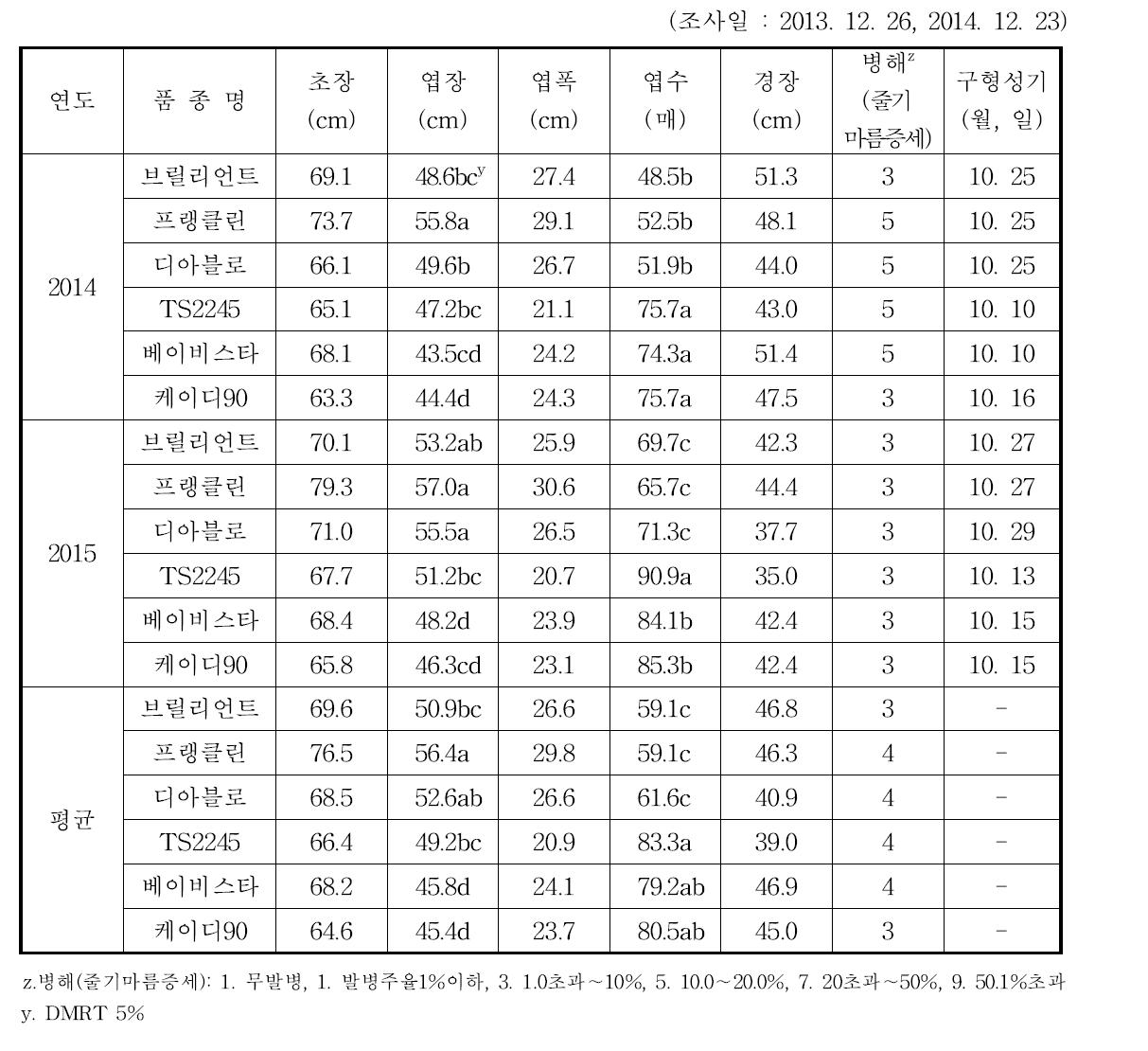 방울다다기양배추 품종별 생육특성