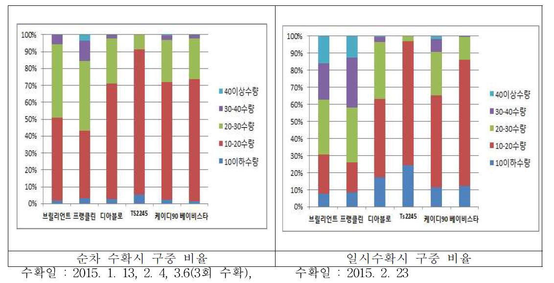 방울다다기양배추 순차 수확과 일시 수확시 구중 분포 비율