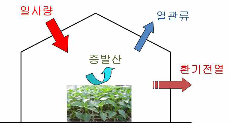 여름철 주간의 온실 열수지 모식도