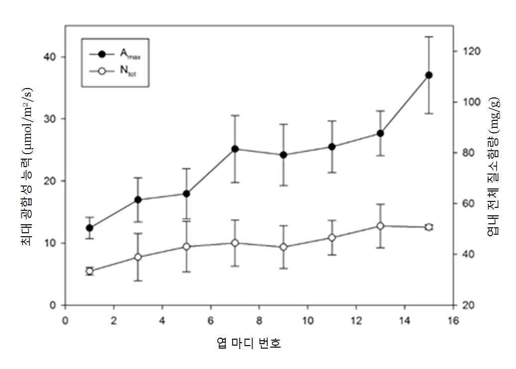 파프리카의 마디별 질소함량 및 광합성 최대 능력