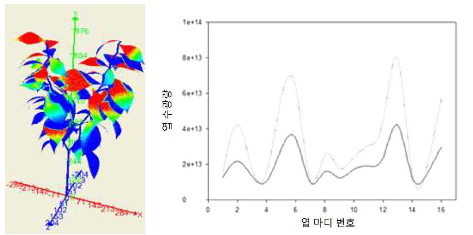 파프리카의 마디별 엽 수광량 분석