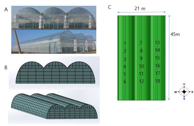 간척지 설치 온실 실제 모습 (A)과 3차원 온실 모델 작성 (B) 및 온실 내 광도 측정 지점