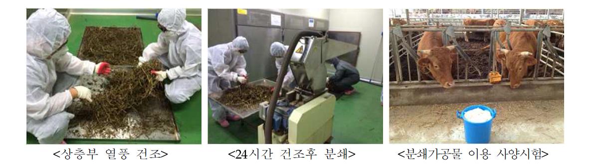 알칼로이드 사료부산물 건조가공 및 사양시험용 첨가물 제조