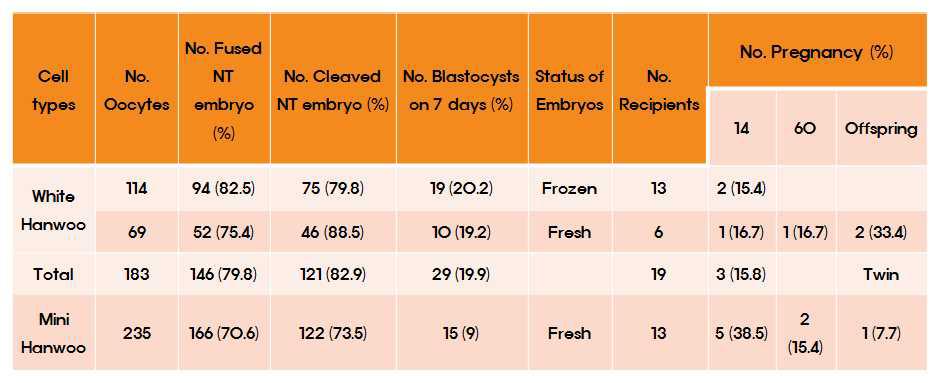 백색한우 (♀) & 미니한우 체세포 복제수정란 생산 및 이식 수태율 변화