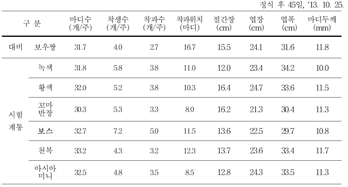 미니단호박 품종별 생육 및 착과 특성