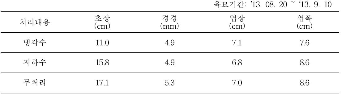 육묘온도 처리별 묘소질