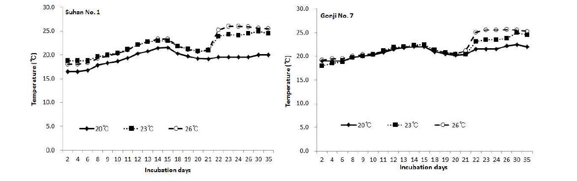 전배양(20℃, 20일)과 후배양 기간과 온도에 따른 배지내 온도변화(15일 배양)