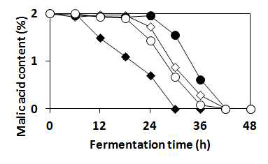 Changes in malic acid content by air-blast dried I. orientalis KMBL5774 stored for 3 months at 4℃ with various sugars as a protectant in the presence of 2% malic acid.