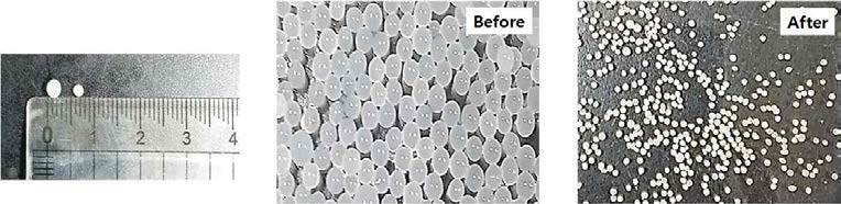Photographs of the Ca-alginate bead product and size comparison between before and after air-blast drying.