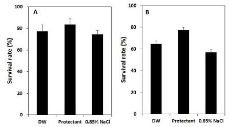 Effects of the type of rehydration solution on the survival rate of freeze-dried L. plantarum cells in the presence of 10% sorbitol (A) and sucrose (B) with 10% skim milk.