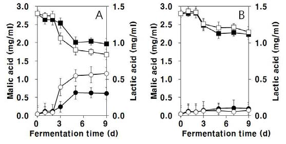 Changes in the contents of malic (□,■) and lactic acids (○,●) during the fermentation of Campbell Early wine by a mixed culture of S. cerevisiae Fermivin and freeze-dried L. plantarum JH287 (A) or K21 cells (B).