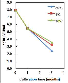 S. cerevisiae Y204 액체종균의 저장기간과 온도에 따른 생균수 변화
