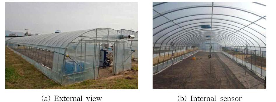 Photographs of experimental greenhouse.