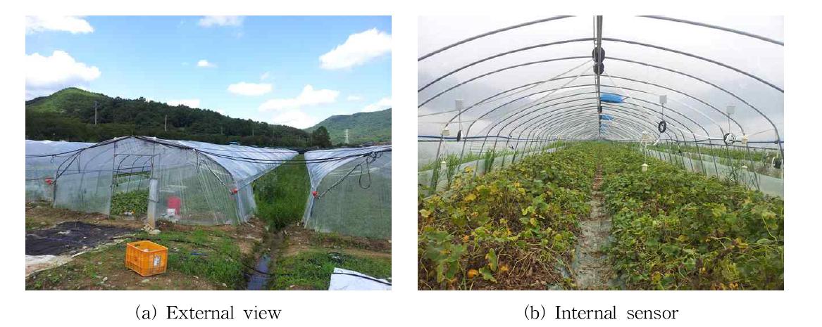 Photographs of experimental greenhouse.