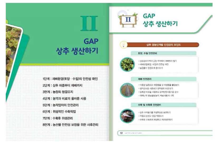 상추 「GAP 생산 가이드」 내용 일부