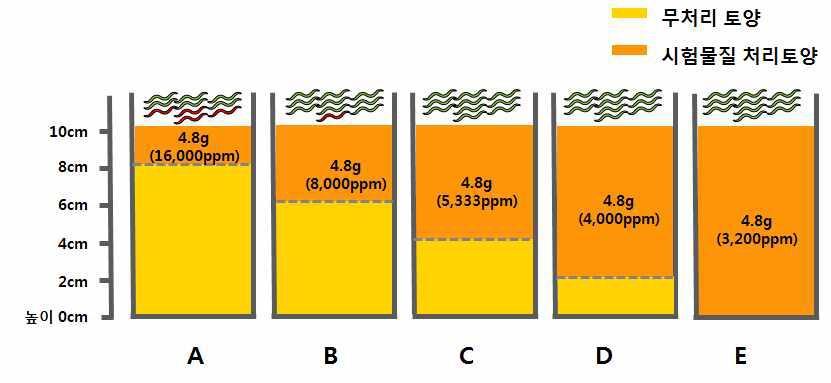 Earthworm toxicity design of various soil hight treated sophora extract(4.8g). Earthworm is on the soil with extract. Some worms dead in the A and B treatment.