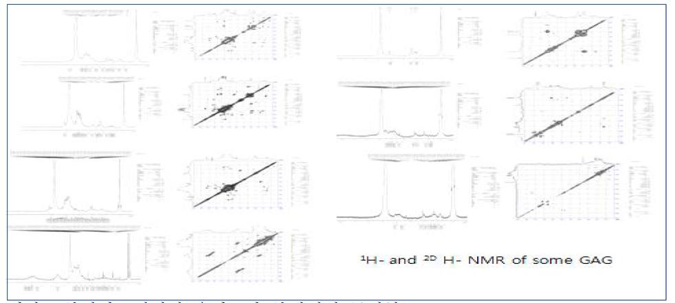 곤충 글라이코자미노글라이칸 7종의 프로톤, 2D-NMR 크로마토그램