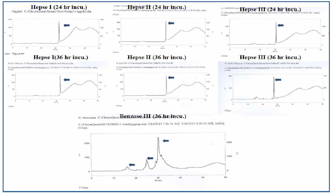 귀뚜라미 글라이코자미노글라이칸 heparinase I, II, III, chondroitin sulfate ABCase처리후 SAX-HPLC profile