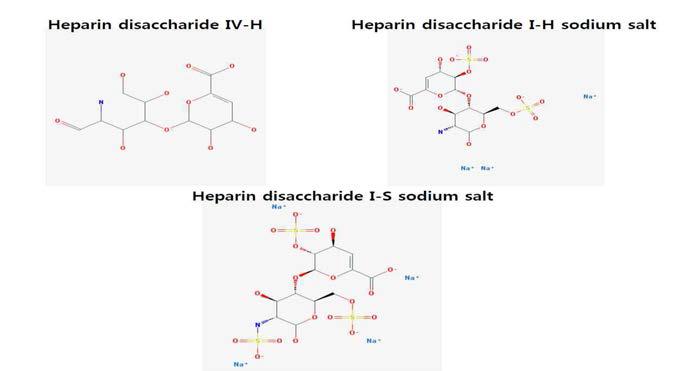 heparinse 처리 후 분해당에서 구조 확인동정된 heparin disaccharide IV-H, I-H, I-S 구조