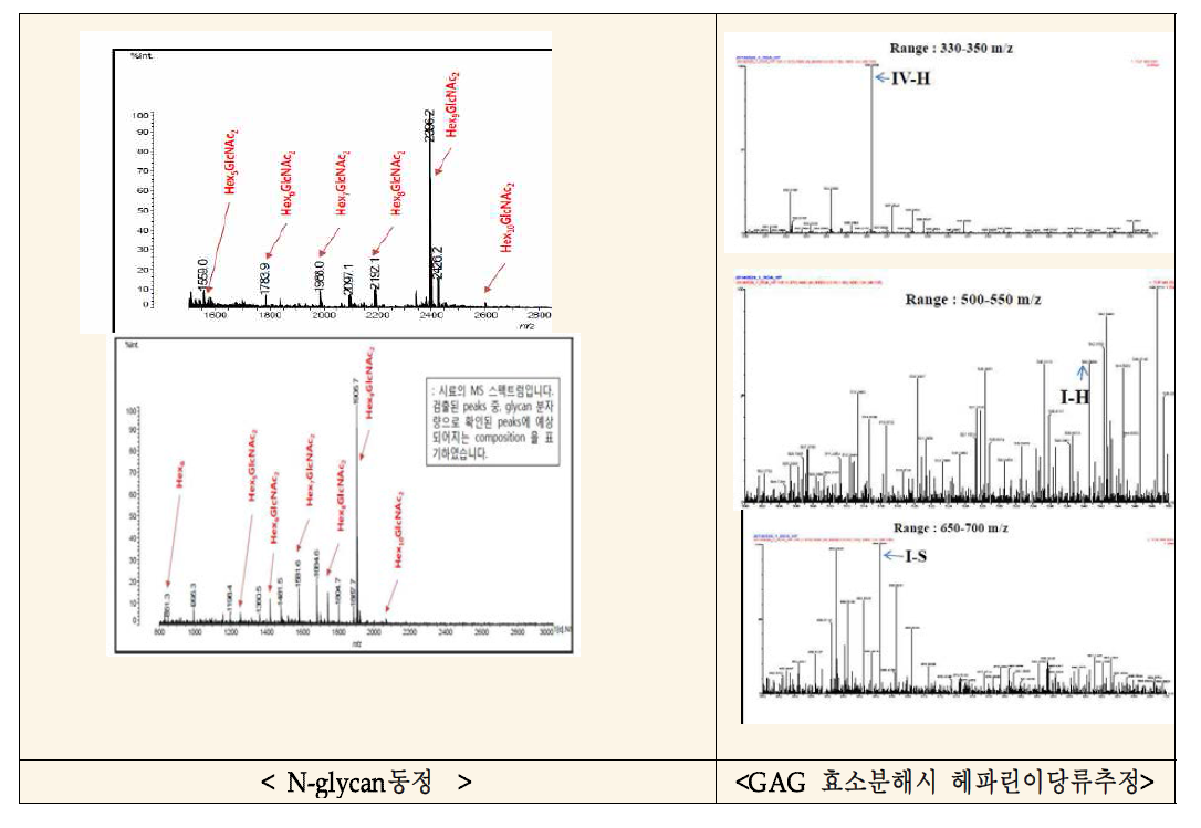 귀뚜라미 N-glycan 동정