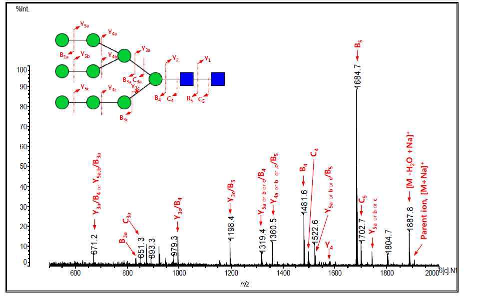 귀뚜라미 N-Glycan MS/MS spectrum