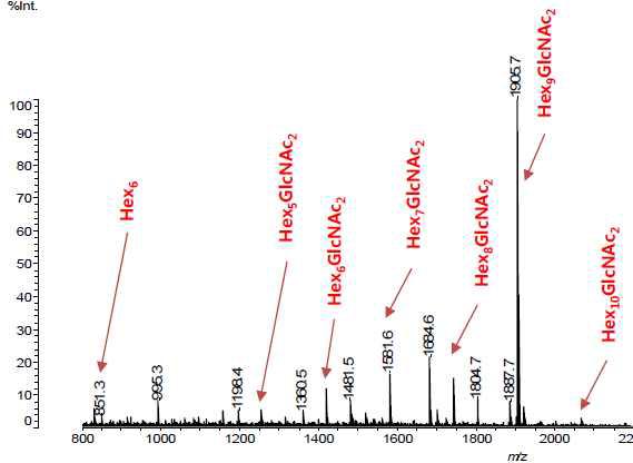 Permetylated Gb N-Glycan