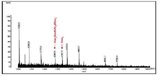 Ca N-glycan