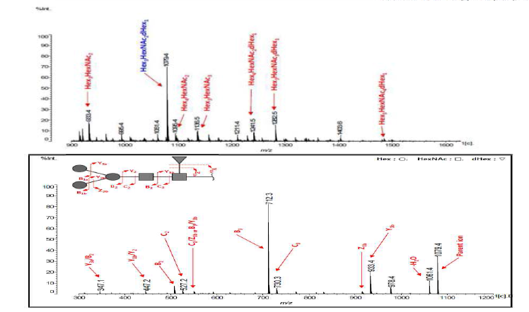 TbG N-glycan