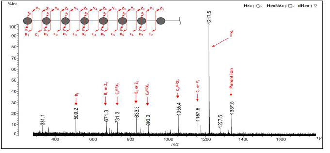 PlG N-glycan