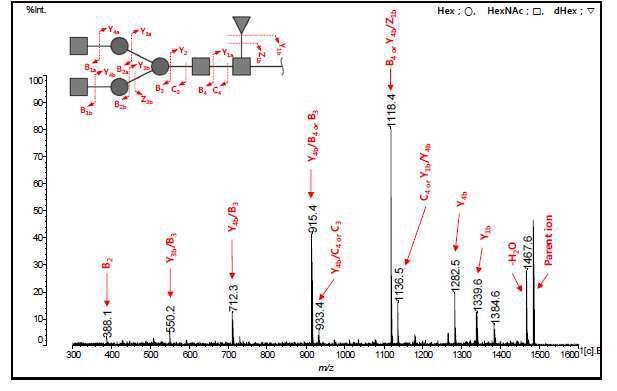 BiQ N-glycan 모식도