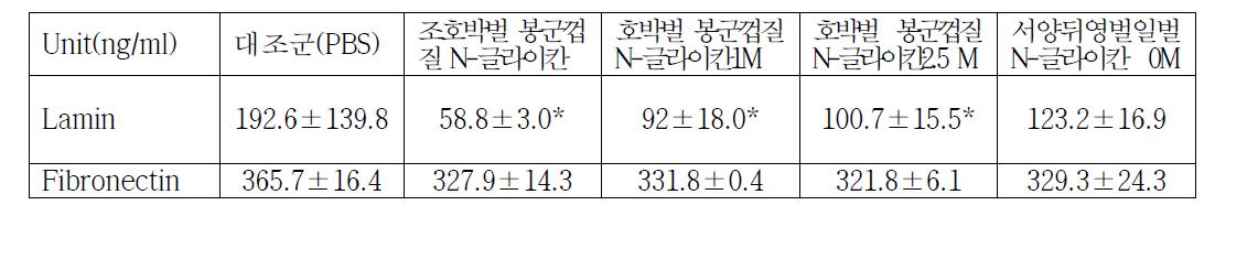 HUVEC 세포에서의 라미닌과 파이브로넥틴에 내피세포리셉타결합 물질에 대한 효과