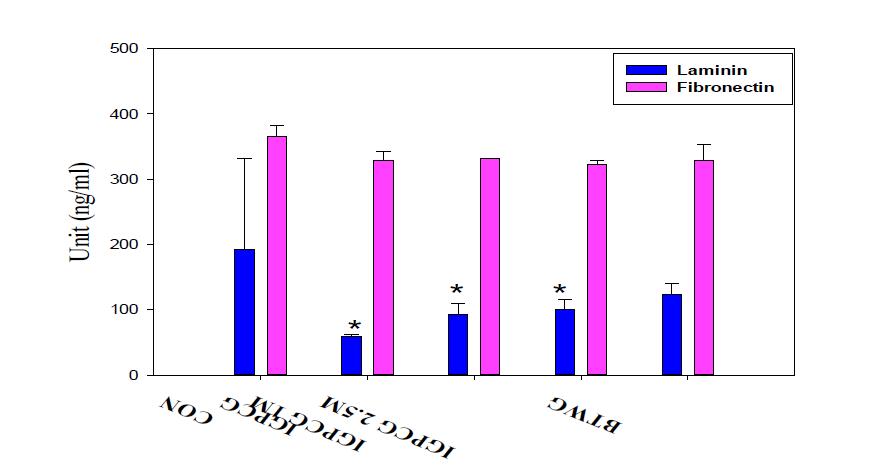 Laminin and fibronectin level in IGPCG or BTWG in HUVEC for 1 day incubation