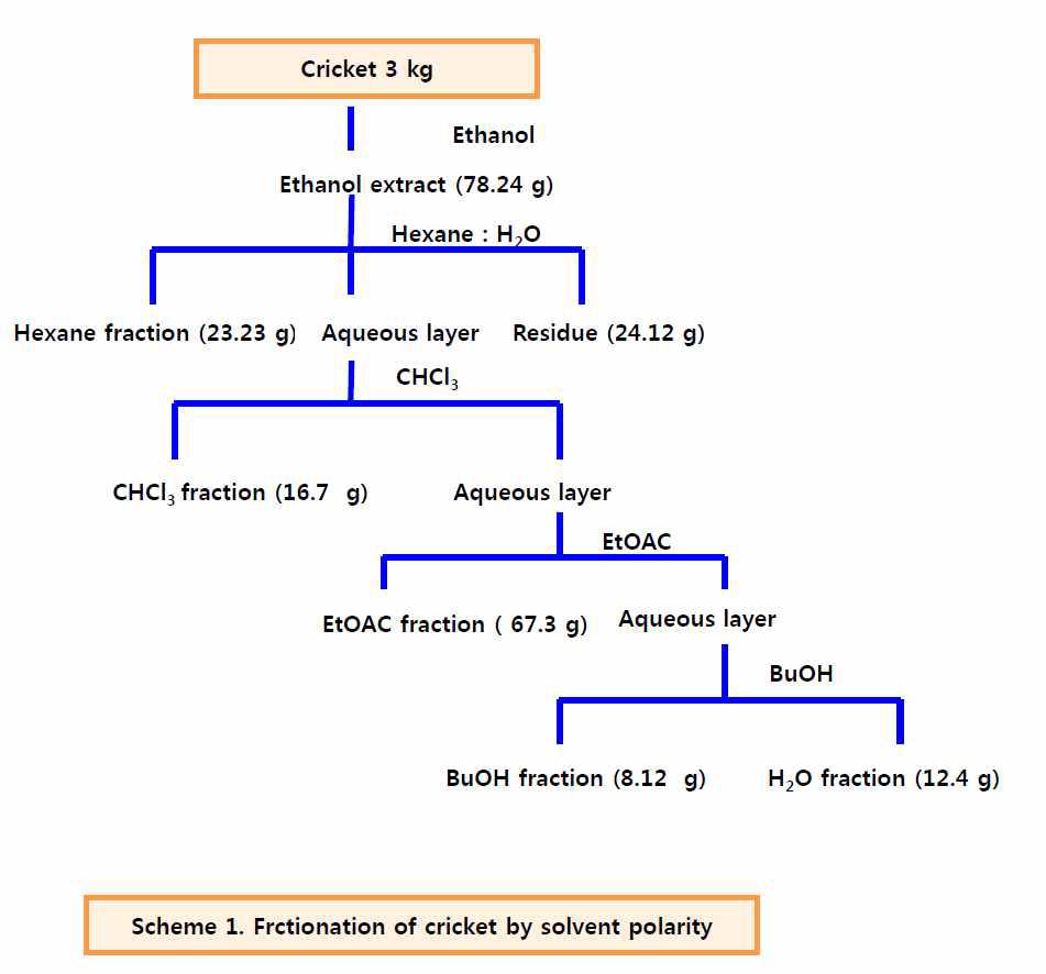 귀뚜라미 알콜추출물에서 용매 분획제조 모식도