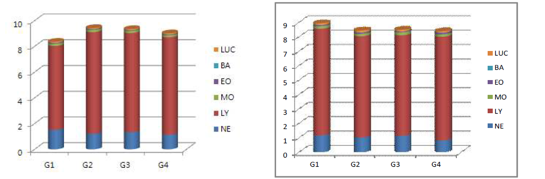 Body weight and food consumption in male and female rats over a 4 week