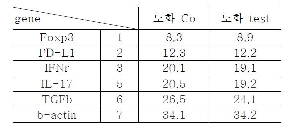 PCR 조건