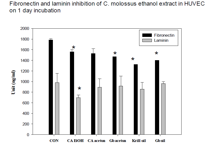 HMVEC-D (human microveascular endothelial cell in diabetic type)에 있어서 쇠똥구리 추출물의 1일 배양시 파이브로넥틴과 라미닌 변동(0.2 mg/ml 처치)