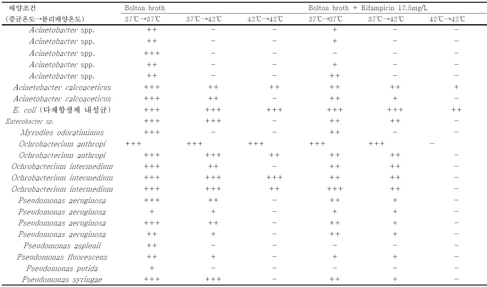 증균배지와 배양온도에 따른 특이성 비교