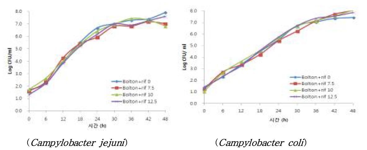 Rifampicin 첨가에 따른 bolton broth에서 Campylobacter jejuni와 Campylobacter coli의 생육곡선