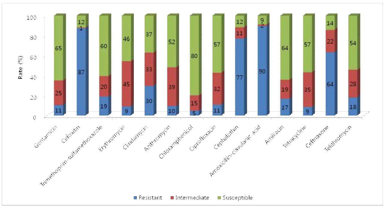 B. cereus 균주의 항생제별 내성 비율