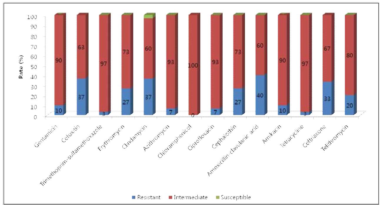S. aureus 균주의 항생제별 내성 비율