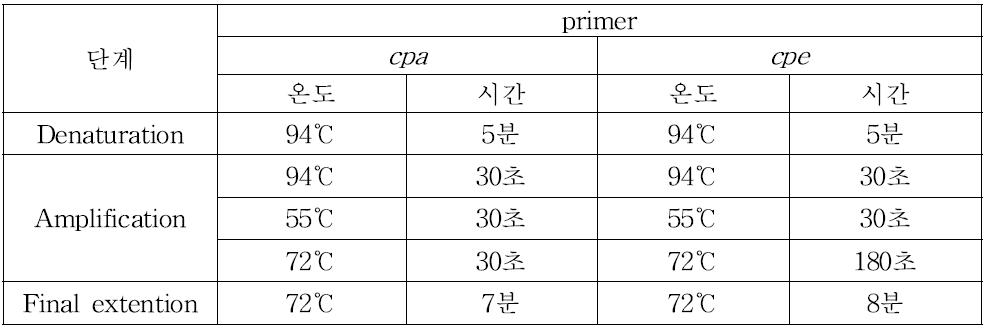 cpa, cpe gene검출을 위한 PCR 조건