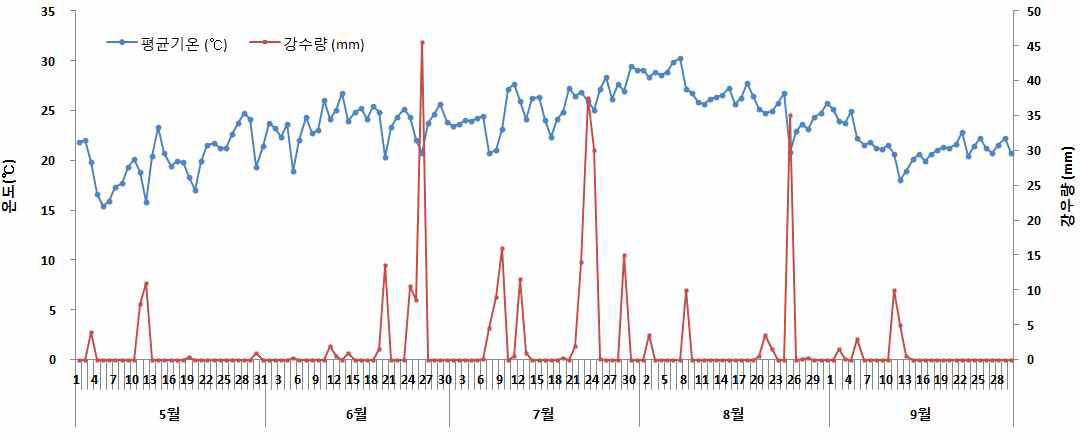 고추 재배기간 중 일평균기온(℃)과 평균강수량(mm)의 변화 (2015)