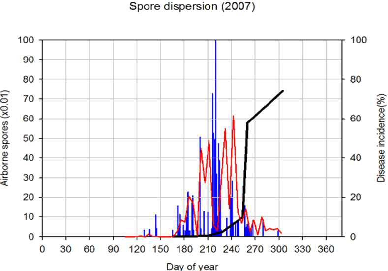 Model A에 의해 산출된 비산포자 예측량과 실제로 관측된 비산포자 채 집량 및 이병엽율 변화 (2007)