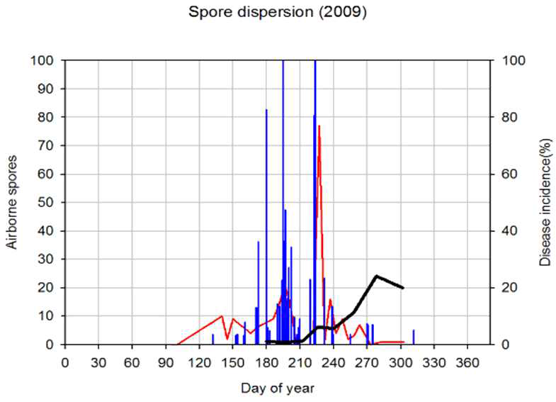 Model A에 의해 산출된 비산포자 예측량과 실제로 관측된 비산포자 채집량 및 이병엽율 변화 (2009)