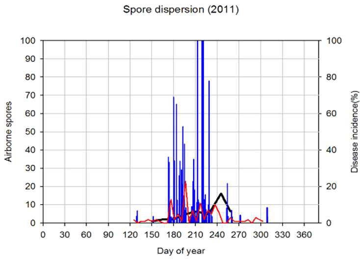 Model A에 의해 산출된 비산포자 예측량과 실제로 관측된 비산포자 채 집량 및 이병엽율 변화 (2011)