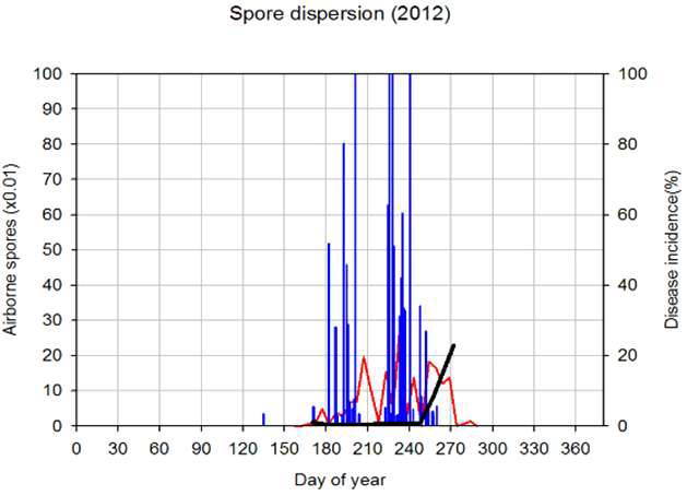 Model A에 의해 산출된 비산포자 예측량과 실제로 관측된 비산포자 채 집량 및 이병엽율 변화 (2011)