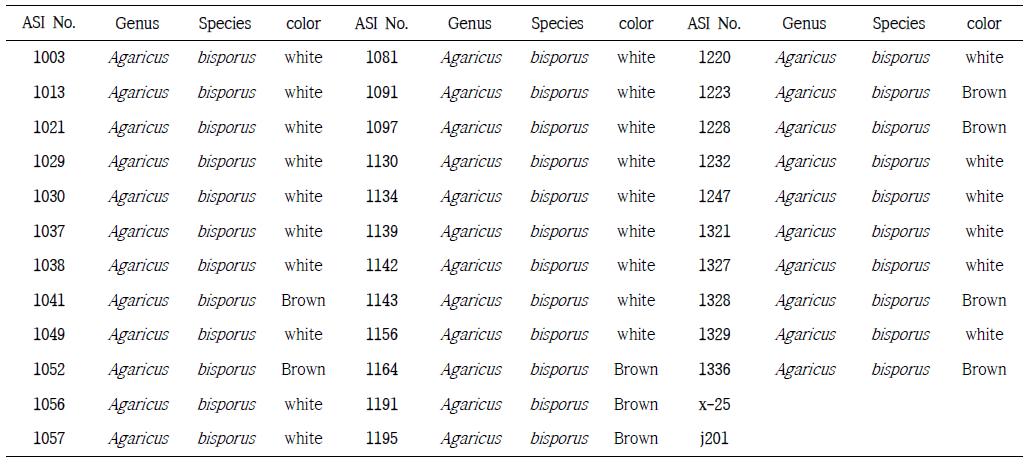 실험에 사용된 양송이 균주목록