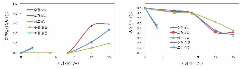 다채 재배방법별 저장 중 이취발생 및 종합선도 변화